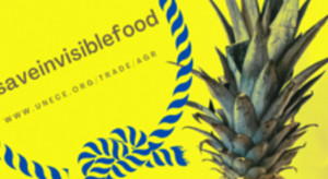 #saveinvisiblefood – europejska kampania na rzecz zapobiegania marnotrawieniu żywności