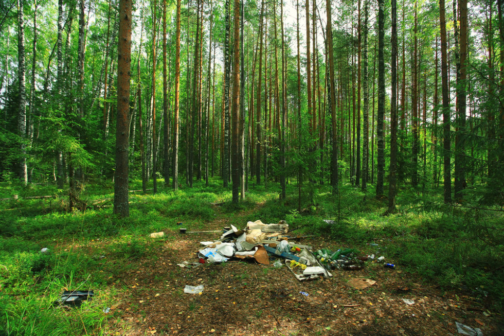 Będą wyższe kary za śmiecenie w lesie