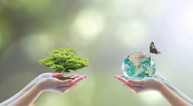 Mniej producentów, ale zwiększa się powierzchnia ekologicznych użytków rolnych/ fot. shutterstock Zwiększa się krajowa powierzchnia ekologicznych użytków rolnych