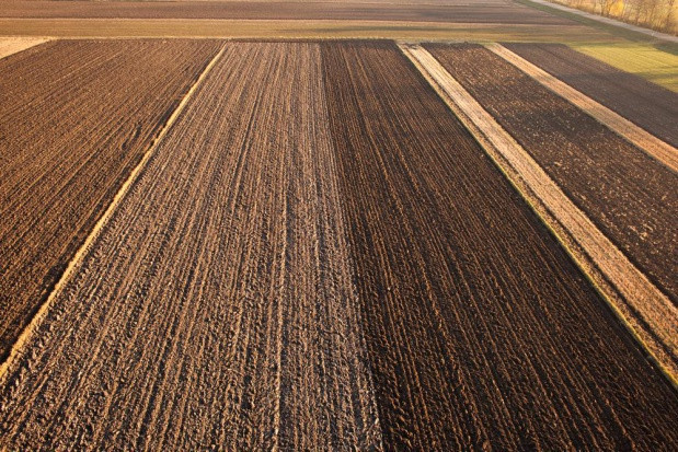 Izby wnioskują o ścisły nadzór nad przekształcaniem i wykorzystaniem na cele nierolnicze ziemi rolnej klasy IV/ fot. shutterstock Izby Rolnicze: w ostatnich 20 latach ubyło 2 mln ha gruntów rolniczych