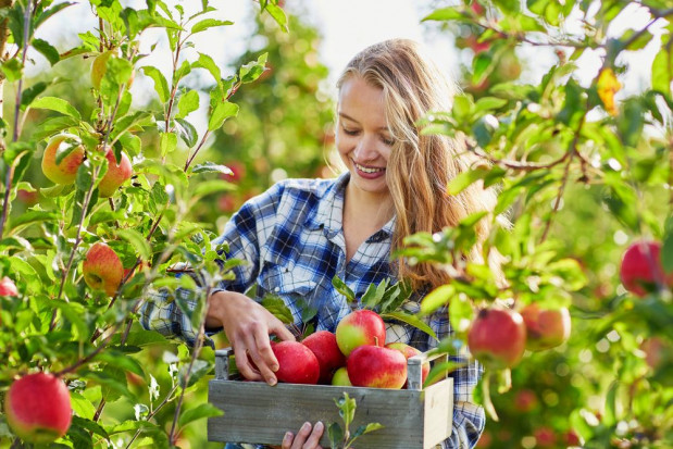 To już 6. nabór wniosków w ramach działania „Premie dla młodych rolników”/ fot. shutterstock 150 tys. zł premii dla młodego rolnika – nabór wniosków przedłużony