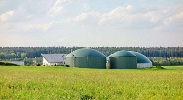 W MRiRW podpisany został list intencyjny w sprawie budowy 20 biogazowni / FOT. shutterstock MRiRW: podpisany list intencyjny ws. budowy 20 biogazowni