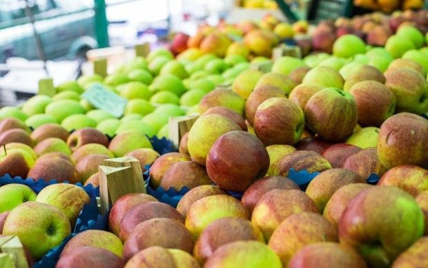Na rynkach hurtowych trwa handel wczesnymi odmianami jabłek/ fot. shutterstock Wczesne odmiany jabłek w handlu - jakie ceny?