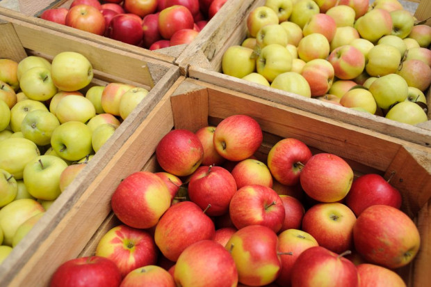 Pandemia miała dodatni wpływ na unijny handel jabłkami (analiza)