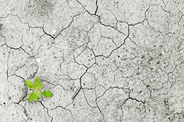 Obszar z największym deficytem wody nie uległ zmianie i w dalszym ciągu notowany jest na terenie Pobrzeża Szczecińskiego/ fot. pixabay W których województwach występuje wciąż susza rolnicza? Raport IUNG