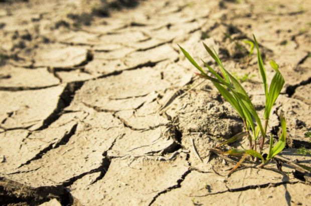 Zmiany klimatyczne i wynikające z tego ekstremalne zjawiska pogodowe są coraz bardziej widoczne / fot. shutterstock Ekspert: przez powodzie, nawałnice i susze Polska traci rocznie do 0,4 proc. PKB
