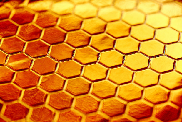 8 lipca obchodzimy Wielki Dzień Pszczół; fot. unsplash.com 8 lipca obchodziliśmy Wielki Dzień Pszczół