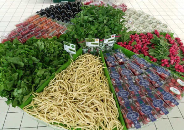 Auchan Retail Polska promuje lokalne produkty/ fot. materiały prasowe Auchan promuje owoce i warzywa od polskich dostawców