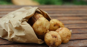 Czechy: powstał automat do zakupu ziemniaków