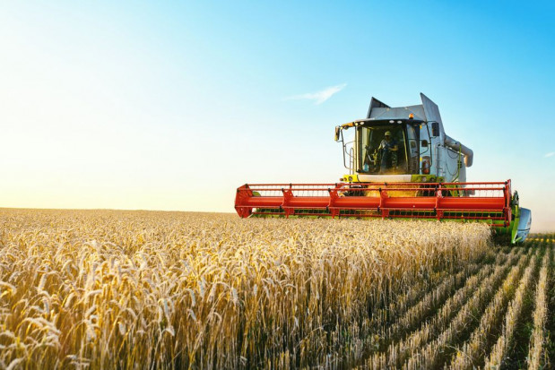 Szefowa MRPiPS zaapelowała do opiekunów o czujność podczas prac letnich oraz stosowanie się do zasad bezpieczeństwa/ fot. shutterstock MRPiPS apeluje do rodziców o zapewnienie dzieciom bezpieczeństwa podczas prac rolnych