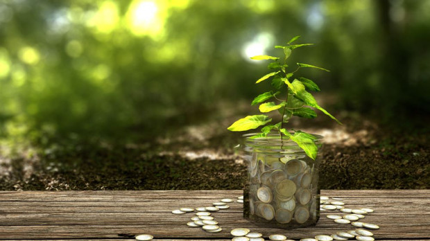 Przychody Lasów spadły o ponad 600 mln zł w pierwszym półroczu/ fot. shutterstock Lasy Państwowe na koronawirusie straciły już ponad 600 mln zł