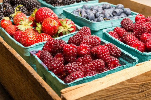 Na wynik produkcji roślinnej wpłynął spadek zbiorów owoców z plantacji jagodowych oraz krzewów owocowych / fot. shutterstock GUS: w 2019 r. spadek produkcji rolniczej w Polsce