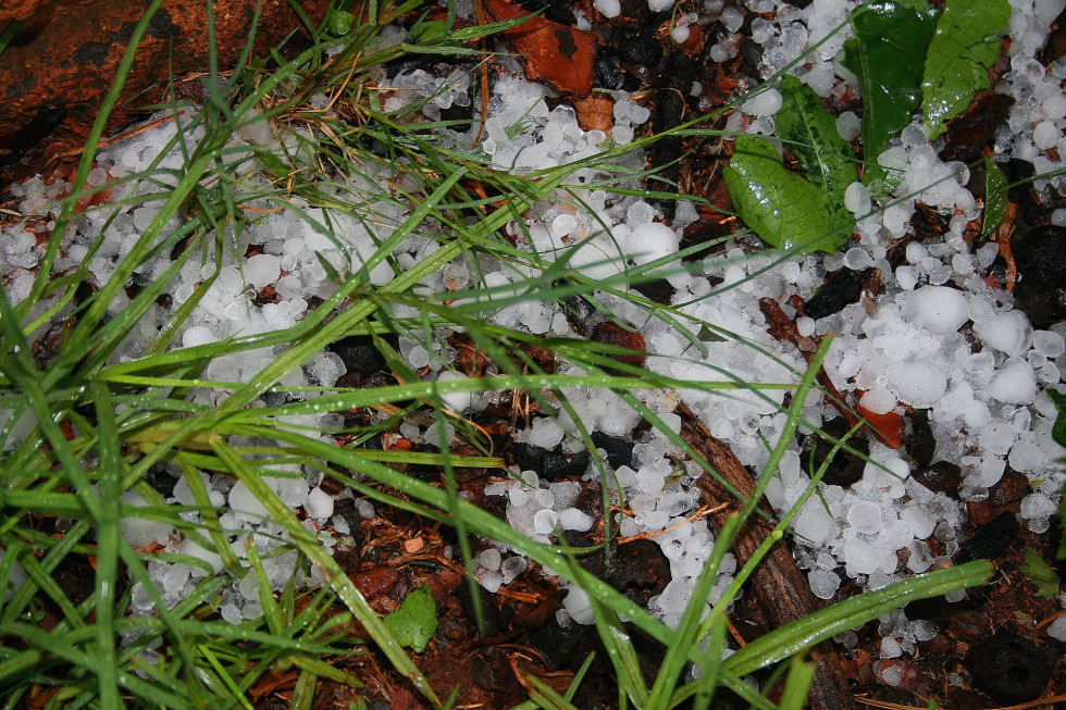 Po raz kolejny 13 sierpnia silny grad, któremu towarzyszyły burze i ulewne deszcze, zdewastował uprawy w Górnej Austrii/ fot.pixabay.com Austria: Silne gradobicia zniszczyły uprawy. Straty oszacowano na 1 mln euro