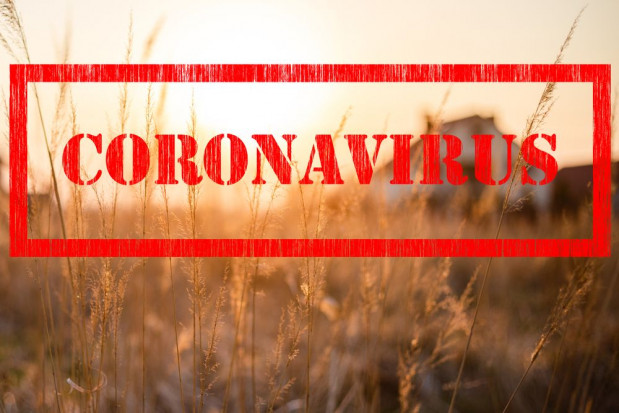 Rolnicy mogą już składać wnioski o udzielenie pomocy w związku z trudną sytuacją wywołaną epidemią COVID-19 i po stratach suszowych/ fot. shutterstock Trwa nabór wniosków o udzielenie pomocy rolnikom poszkodowanym przez suszę i COVID-19
