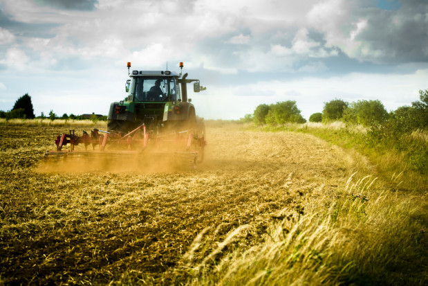 Od 1 września rozpocznie się na terenie całego kraju Powszechny Spis Rolny/ fot.shutterstock.com 1 września rozpocznie się Powszechny Spis Rolny