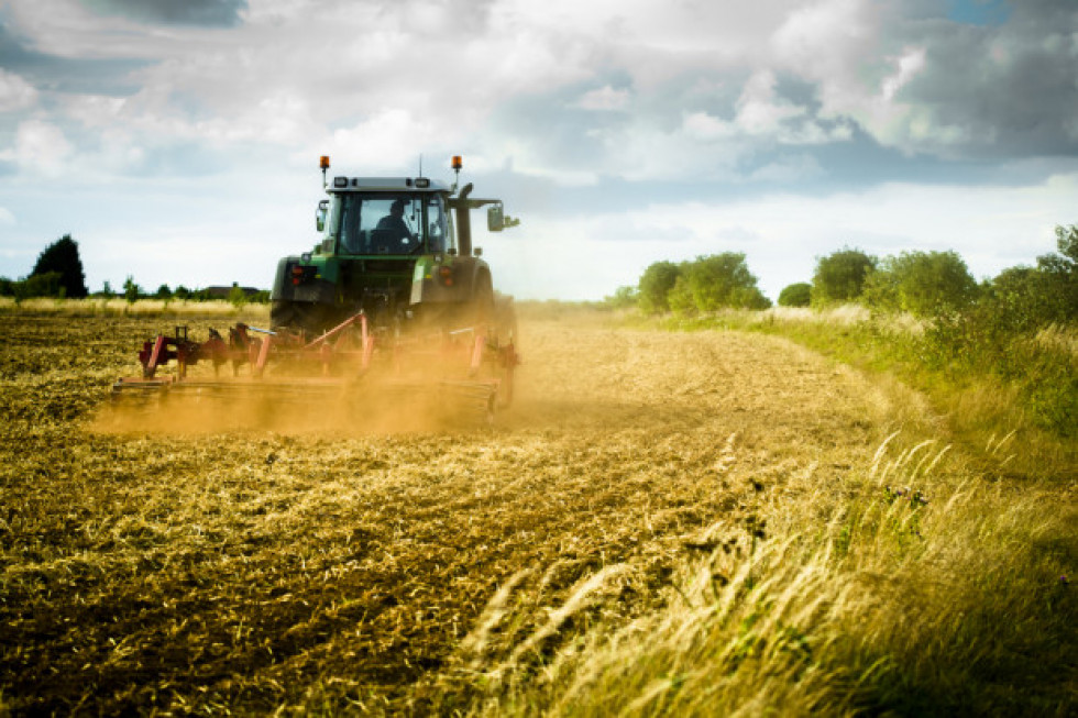 1 września rozpocznie się Powszechny Spis Rolny