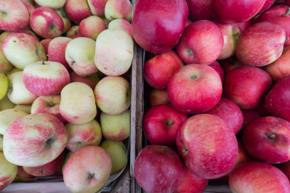Coraz większa podaż letnich odmian jabłek - jakie ceny w hurcie?