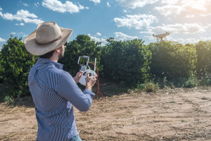 Czy nasilający się brak pracowników przyspieszy robotyzację w ogrodnictwie?