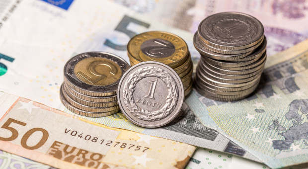 Jakie nabory dla rolników planuje w najbliższym czasie ARiMR?; fot. shutterstock.com ARiMR: Planowane nabory do końca 2020 r.