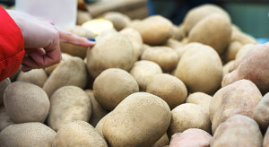 IJHARS: kontrola jakości ziemniaków nie wykazała nieprawidłowości