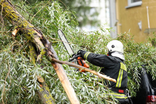 Do godziny 15 w środę Państwowa Straż Pożarna odnotowała w całym kraju prawie 600 interwencji/ fot. shutterstock.com PSP: prawie 600 interwencji w związku z burzami i silnym wiatrem