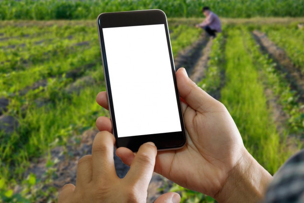 Od września ruszy aplikacja na smartfony/ fot. shutterstock Prezes ARiMR: od września ruszy aplikacja na smartfony