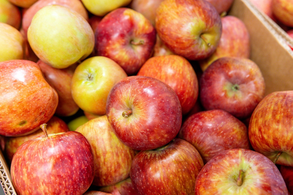 Ukraina: Jabłka w marketach kosztują nawet 8 zł/kg