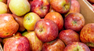 Ukraina: Jabłka w marketach kosztują nawet 8 zł/kg