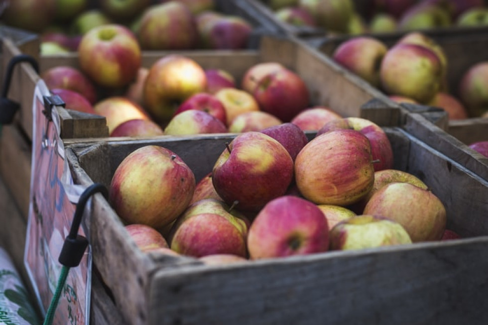 Jabłka 2020 – jak kształtują się ceny i dostępność odmian na rynkach hurtowych?