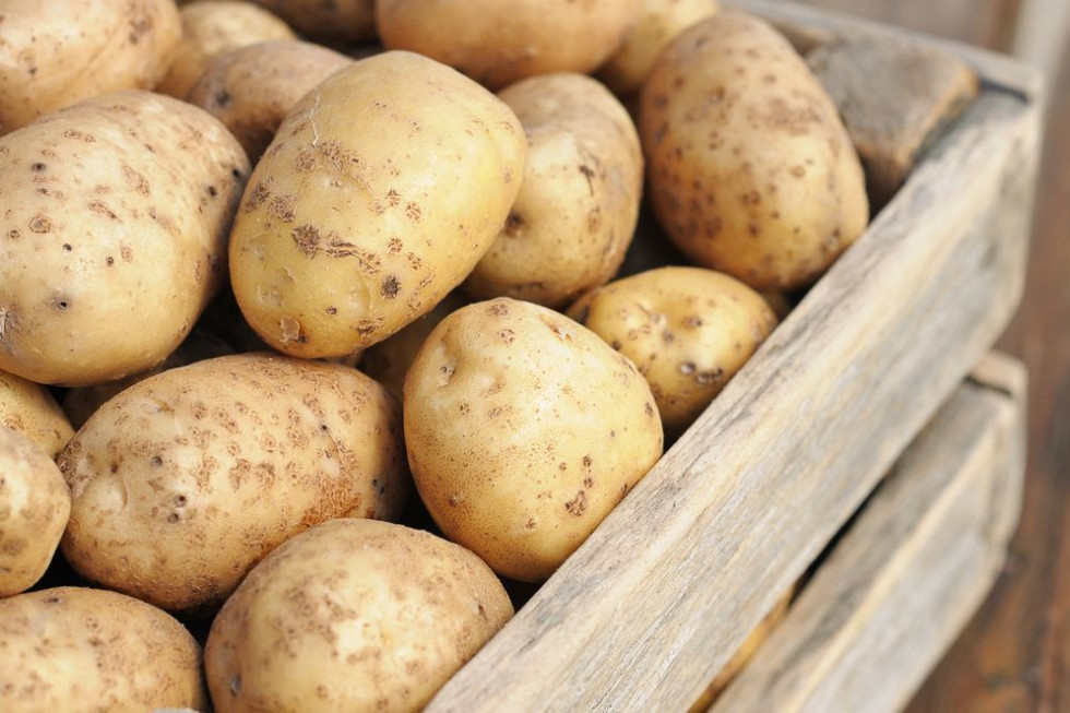 Ukraina rozważa wprowadzenie zakazu importu ziemniaków z Rosji