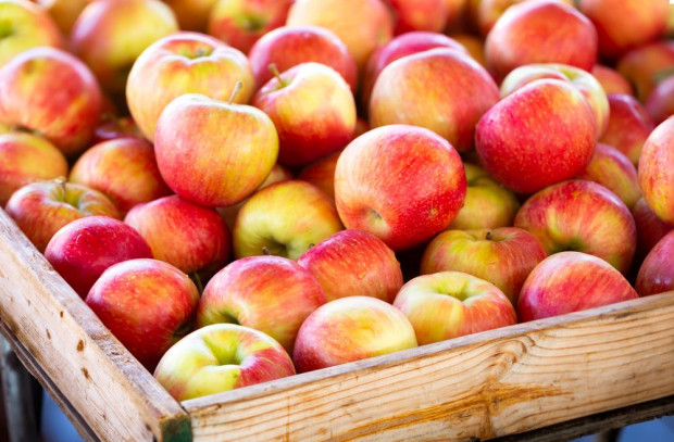 Na podwarszawskich Broniszach wyraźnie można zaobserwować spadki cen jabłek/ fot.shutterstock.com Bronisze: Coraz niższe ceny jabłek w hurcie
