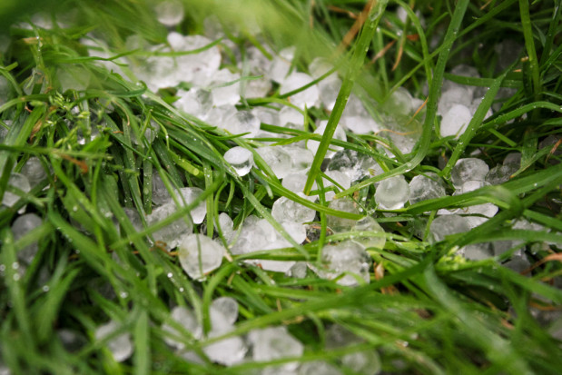 W najbliższych dnia należy spodziewać się niebezpiecznych zjawisk meteorologicznych/ fot. shutterstock.com Pogoda dla sadowników: nadchodzą gradobicia i burze