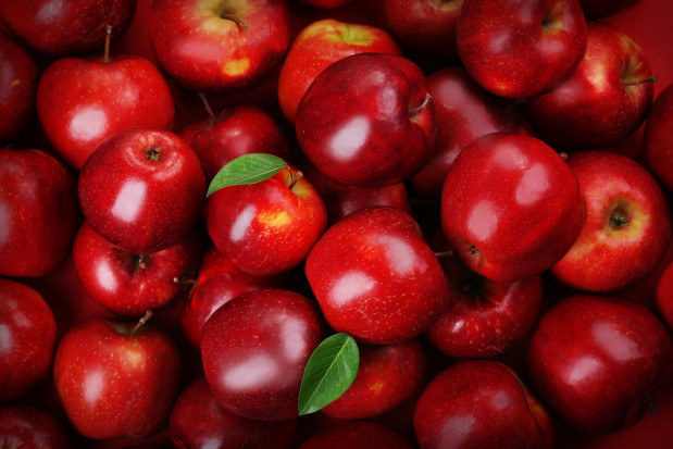 Polska jest największym producentem jabłek w Unii Europejskiej i trzecim na świecie/ fot.shutterstock.com MRiRW: Polska jest największym producentem jabłek w UE i trzecim na świecie