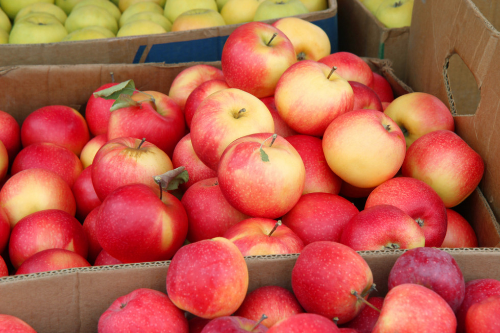 Rynki hurtowe: Ceny jabłek znów spadły (analiza)