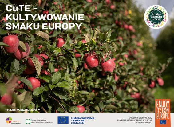 Jesień czasem jabłek / fot. materiały prasowe Jesień to czas jabłek – co kryje się w tych owocach?