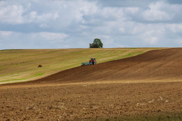 Zachowanie bioróżnorodności jest też szczególnym zadaniem rolnictwa, które stanowi ważny sektor polskiej gospodarki/ fot. shutterstock Duda w ONZ: bioróżnorodność jest warunkiem życia na Ziemi