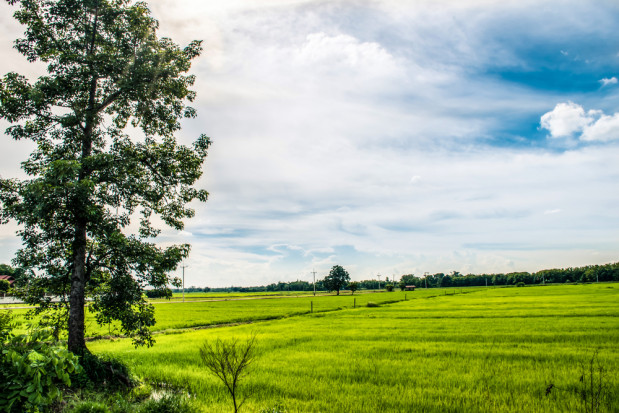 KOWR przejął za długi 7 gospodarstw za ponad 6 mln zł/ fot. shutterstock.com KOWR przejął za długi 7 gospodarstw na kwotę 6.406 tys. zł