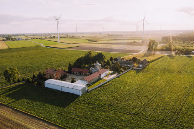 Gospodarstwo należące do sieci Bayer ForwardFarming znajduje się we wsi Kaszewy (powiat kutnowski, woj. łódzkie)/ Fot. materiały prasowe Polskie gospodarstwo dołącza do Bayer ForwardFarming