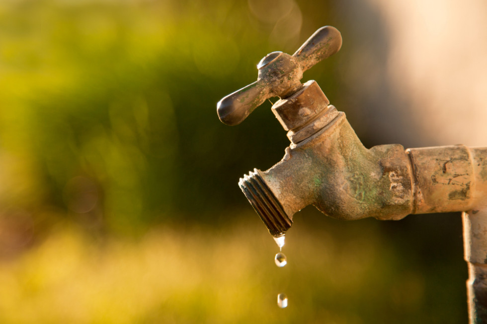 Chcemy, by prace legislacyjne nad kompleksowym sześcioletnim planem przeciwdziałania skutkom suszy skończyły się w tym roku/ fot.shutterstock.com Wody Polskie: liczymy, że plan przeciwdziałania skutkom suszy ruszy do końca roku