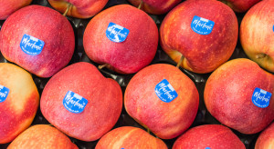 Tajlandia nowym rynkiem zbytu dla włoskich jabłek
