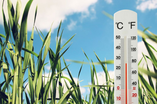 Tegoroczny wrzesień jest o 0,05 st. C cieplejszy niż wrzesień roku 2019/ fot. shutterstock Wrzesień 2020 r. najcieplejszym wrześniem w historii