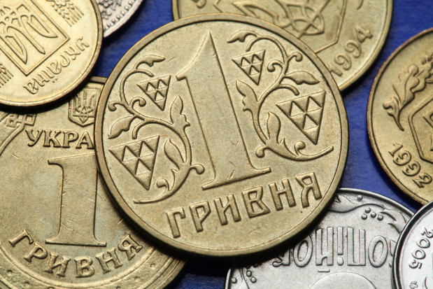 Ukraina: Ponad 70 mln UAH wsparcia wypłacono rolnikom/ fot.shutterstock.com Ukraina: Rolnikom wypłacono ponad 70 mln UAH wsparcia