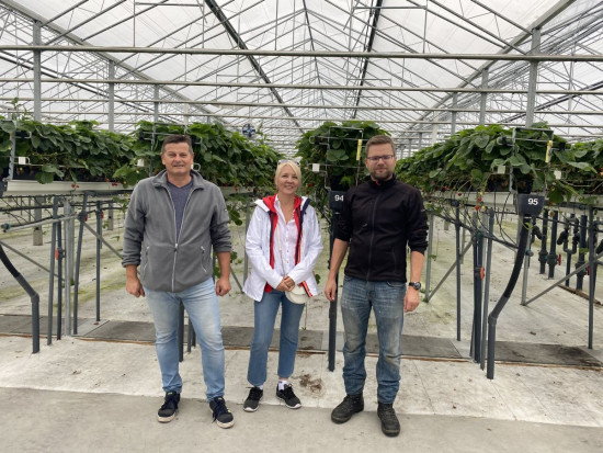Zespół Doradcy Jagodowego z właścicielem plantacji Sunnehof Beeri p. Matthiasem Muller/ fot. DJ Truskawki po szwajcarsku – systemy uprawy, dobór odmian, główne problemy w ochronie (zdjęcia)