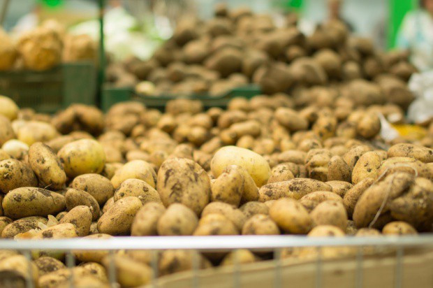 Z powodu pandemii koronawirusa popyt na ziemniaki jest słabszy/ fot. shutterstock Stowarzyszenia Producentów Ziemniaków dążą do zmniejszenia areału upraw w UE