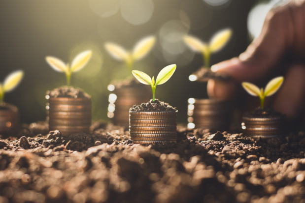 Jesienne ubezpieczenie upraw z dopłatą z budżetu państwa/fot.shutterstock.com Jesienne ubezpieczenie upraw z dopłatą z budżetu państwa