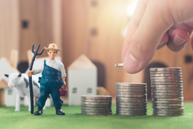 Badanie UE: Wsparcie finansowe udzielane rolnikom jest zbyt niskie/ fot.shutterstock.com Badanie UE: Wsparcie finansowe udzielane rolnikom jest zbyt niskie
