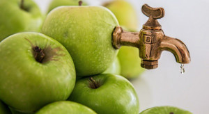 Eksport zagęszczonego soku jabłkowego zmalał o 30% (analiza)