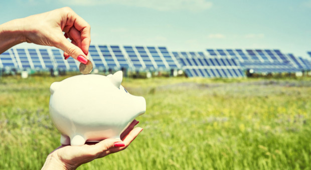 Fotowoltaika to obok energetyki wiatrowej najszybciej rosnący segment OZE/ fot. shutterstock Fotowoltaika stała się opłacalnym biznesem. Obroty branży wzrosną o 25 proc.