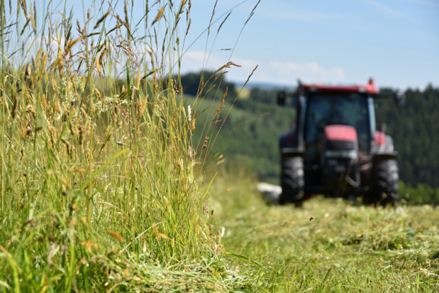 Stawka płatności za zazielenienie (płatności zielonej) za 2020 r. wynosi 323,85 zł na hektar / Fot.shutterstock.com Jaka stawka płatności za zazielenienie w 2020 r i dla kogo ?