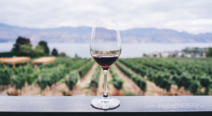 30 października mija termin składania deklaracji dotyczących rynku wina